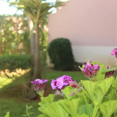 Sweet -oasis Parque Διαμέρισμα *